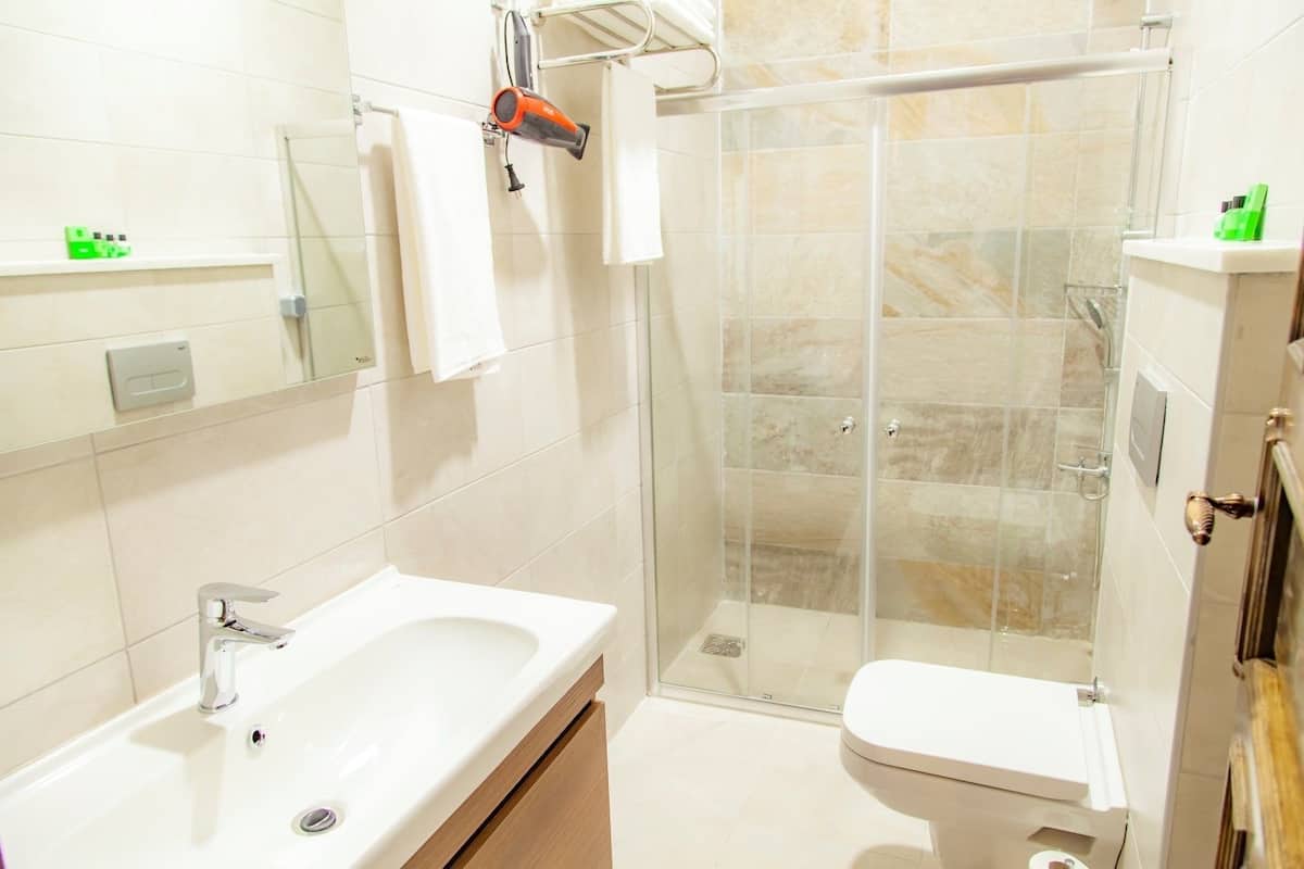 shower, free toiletries, hair dryer, slippers