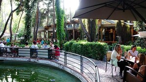 Un espace de restauration en plein air, avec des tables et des chaises, entouré de verdure et agrémenté d’un élément aquatique.