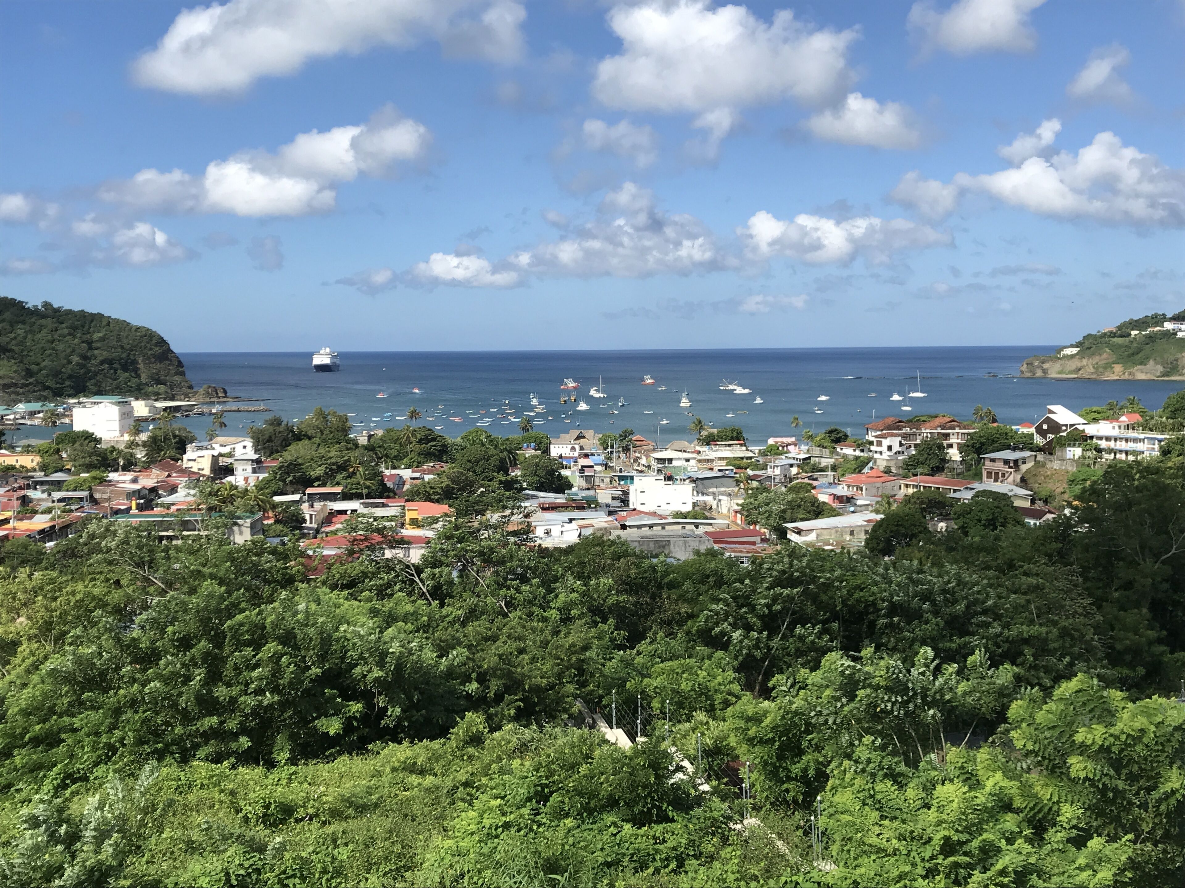 A coastal town with dense housing, a marina with boats, and a clear view of the sea.
