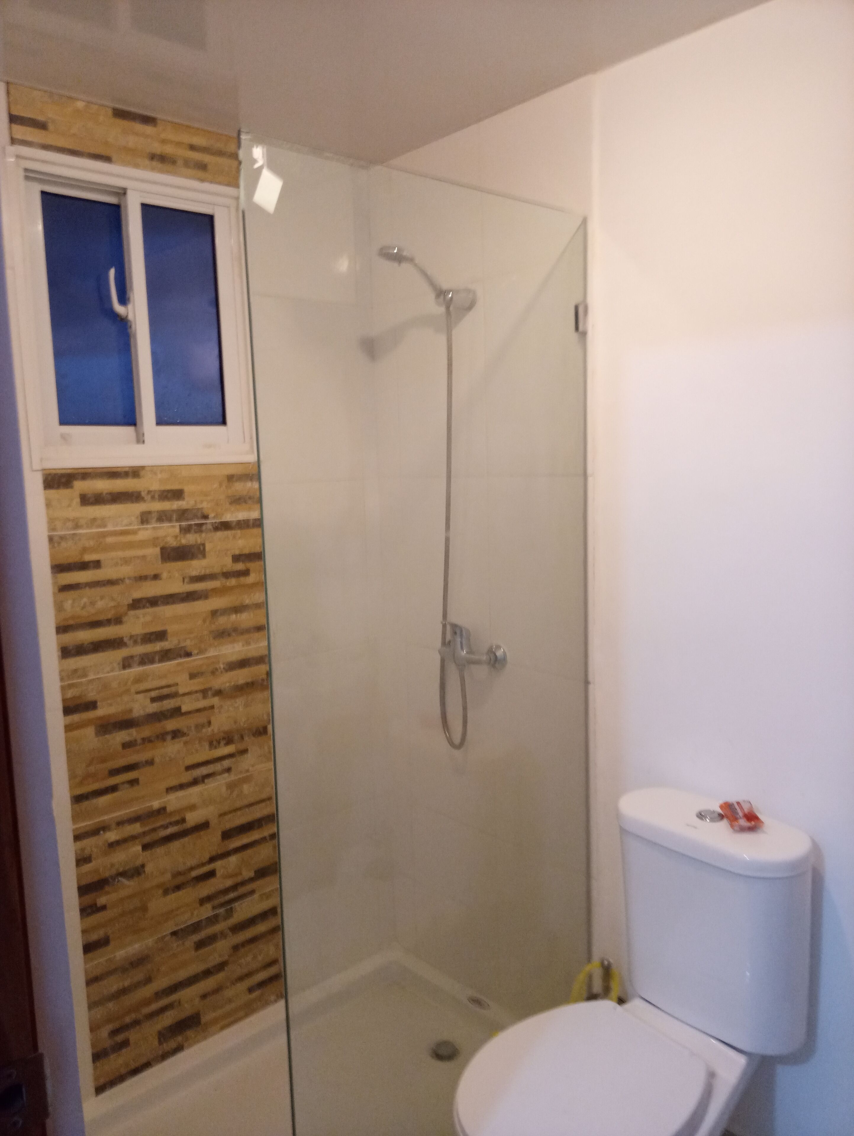 A small bathroom with a glass shower enclosure, a toilet, and a window.