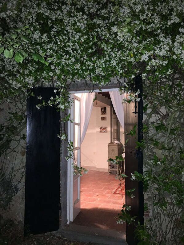 An entrance with a black door, white curtains, and a brick pathway leading inside.