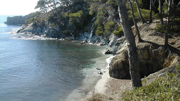 Paisatge costaner amb terreny rocos, arbres i una platja.