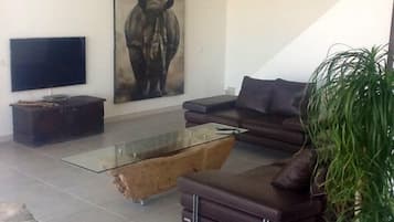 TV, DVD player, books, music library