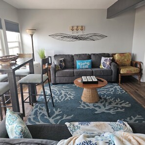 TV connectée, cheminée, lecteur de DVD, livres