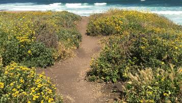 Vlak bij het strand, ligstoelen, strandlakens