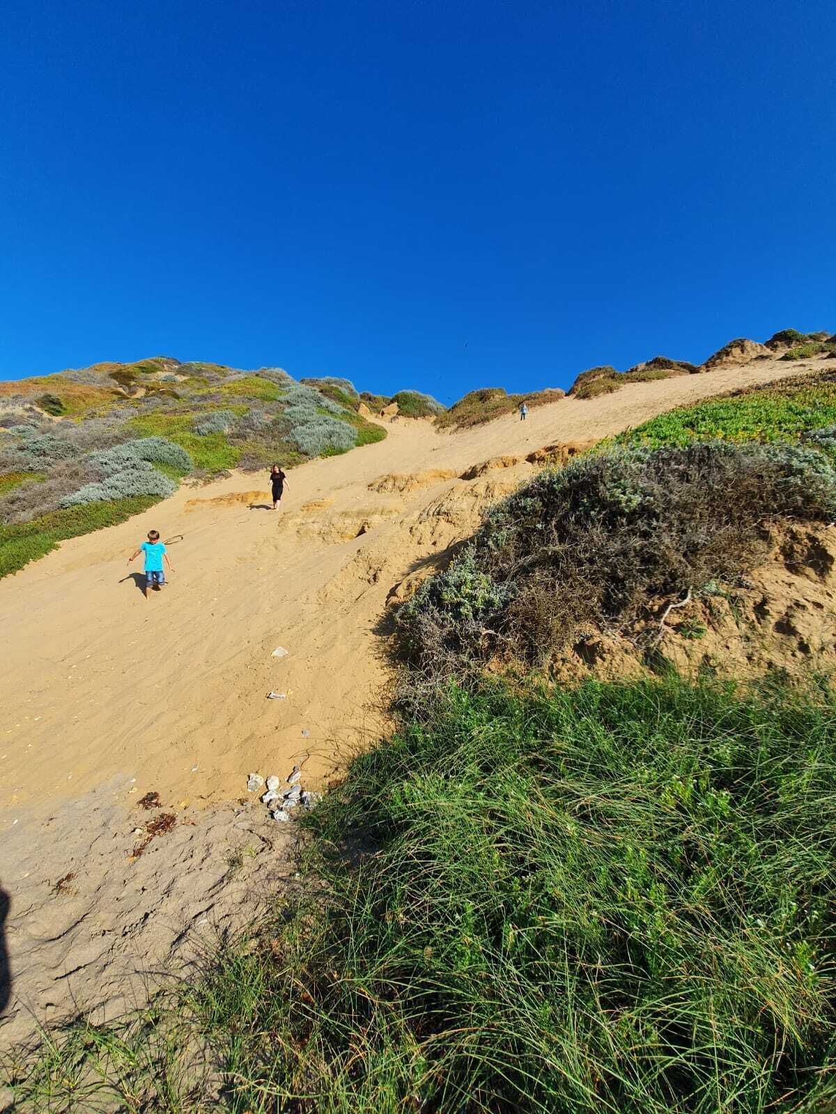 Une plage de sable avec une végétation clairsemée et un ciel bleu dégagé.