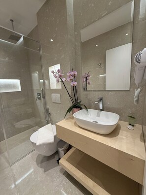 Douche, articles de toilette griffés, séchoir à cheveux