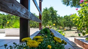 A wooden bench in a garden with various flowers and trees.