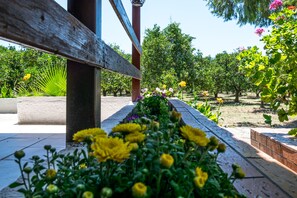 Property grounds - Skala Cottage holiday under the sun (Githeion)