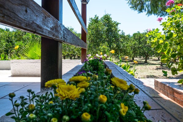 A wooden bench in a garden with various flowers and trees.