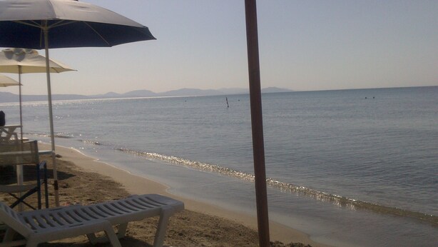 A beach with a row of white plastic chairs and a blue umbrella, a sandy shoreline, and calm water.