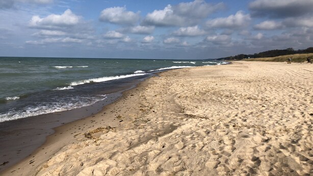 Una playa arenosa con olas, cielo despejado y árboles a lo lejos.