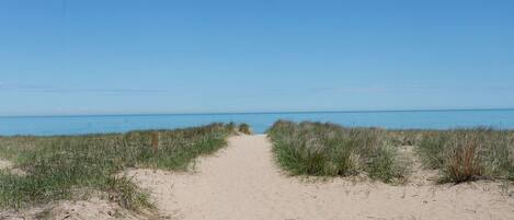 Chaises longues, serviettes de plage