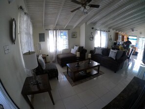 TV