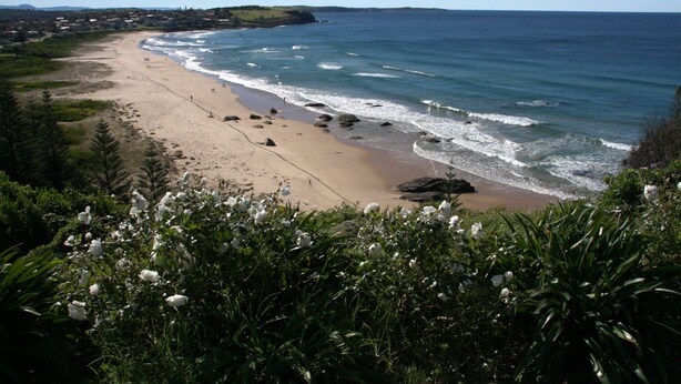 A coastal beach with a clear view of the ocean, sandy shore, and surrounding vegetation.