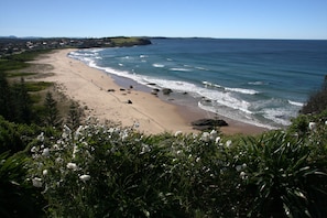 Ein Küstenstrand mit freiem Blick auf das Meer, sandigem Ufer und umgebender Vegetation.