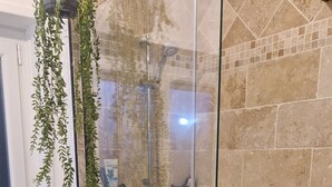 Ducha con paredes de vidrio y pared de piedra, ventana con vistas y plantas en macetas.