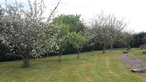 A garden with blooming trees and a grassy area. - Fantastic villa of 200 m2 in Siero (Asturias) (FORFONTIA)