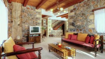 Smart TV, caminetto, lettore DVD, impianto stereo