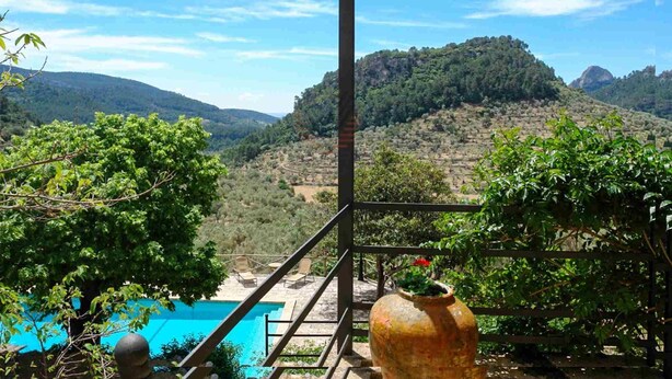 Una terraza con vistas a un valle, una piscina y una maceta grande con una planta.