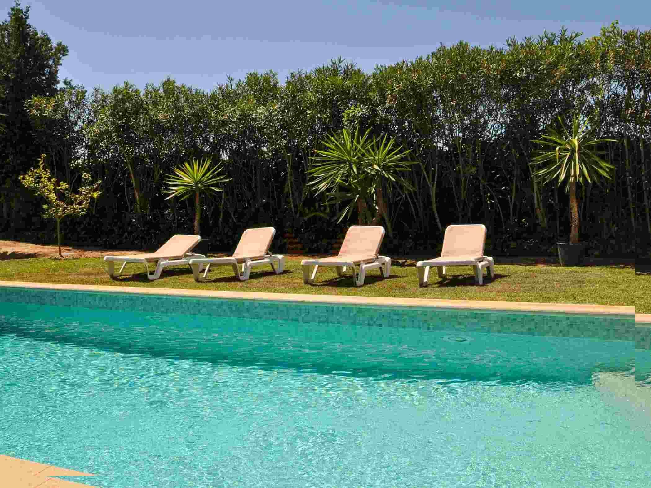 A swimming pool with clear water, surrounded by a grassy area and palm trees.