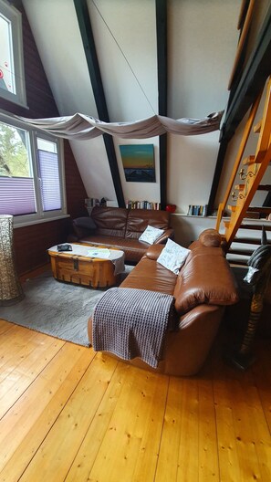 Smart TV, books, music library, stereo