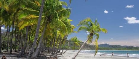 On the beach, sun loungers, beach towels