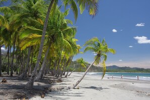 On the beach, sun-loungers, beach towels