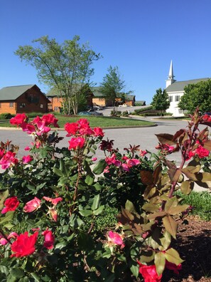 Área da propriedade