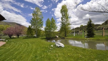 Áreas de la propiedad