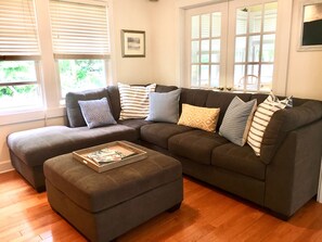 Smart TV, fireplace, DVD player, books
