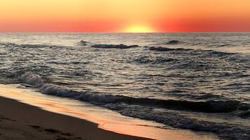 Plage à proximité, chaises longues, serviettes de plage