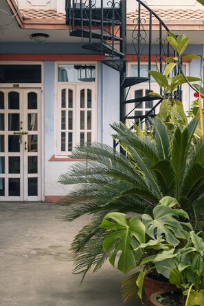 Un edificio con una escalera, una puerta y una planta en maceta.