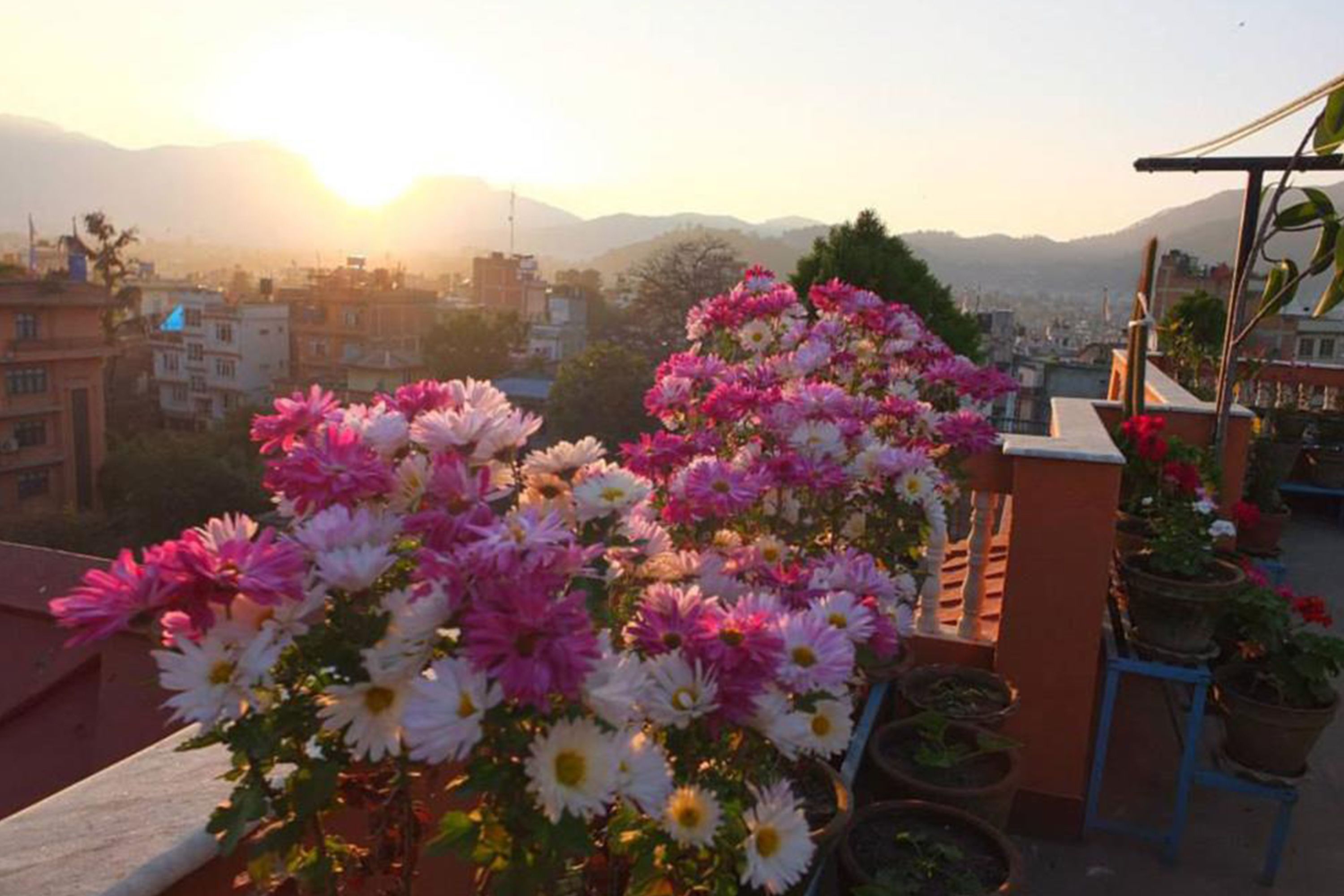 Un balcón con macetas de flores y vista a un paisaje urbano con montañas al fondo.