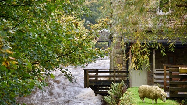 A rustic stone building with a wooden fence and a sheep grazing nearby. - Low Mill Guest House (Leyburn)