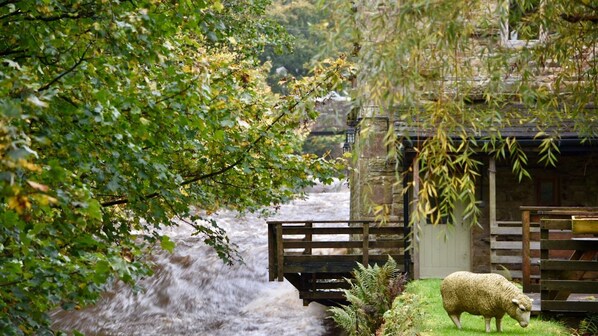 Garden - Low Mill Guest House (Leyburn)