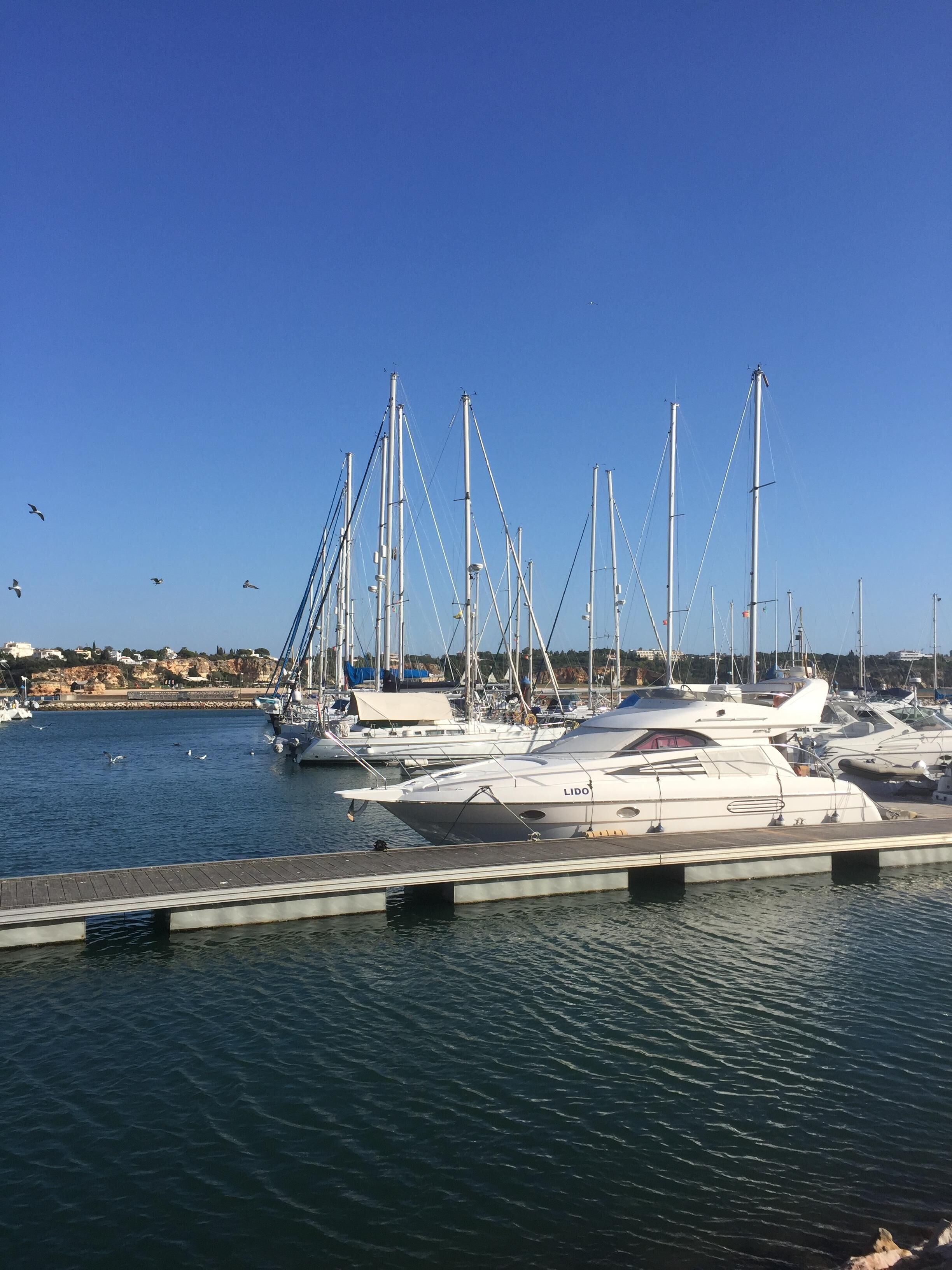 En småbåtshamn med flera yachter förtöjda.