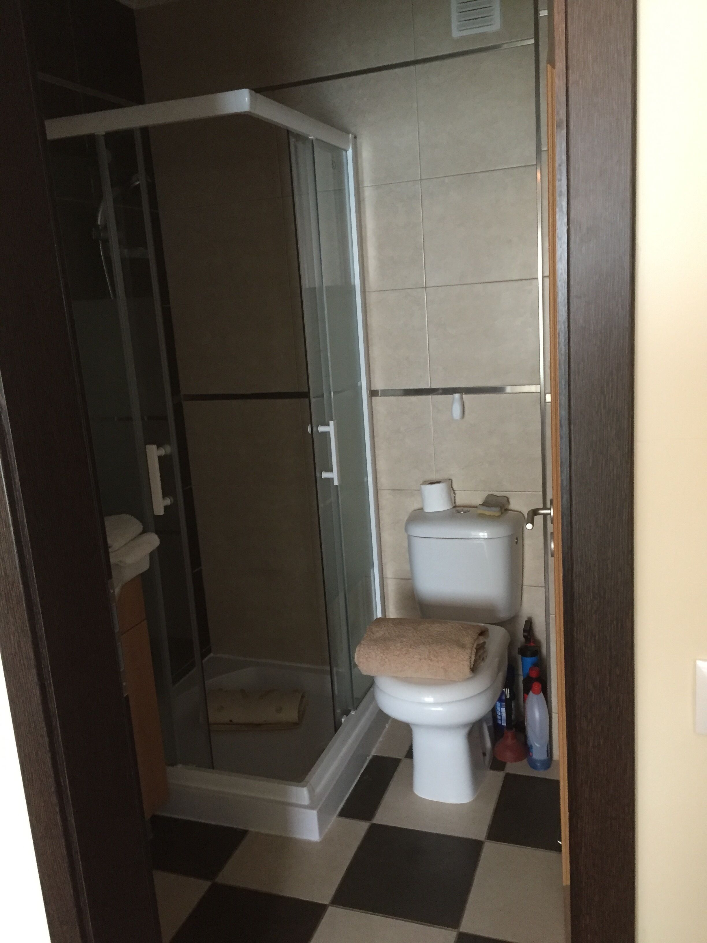 A bathroom with a glass-enclosed shower, a toilet, and a checkered floor.