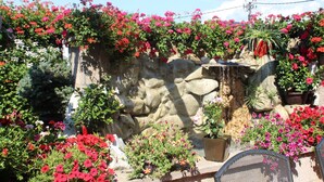 A garden with a stone wall, various potted plants, and a small waterfall feature. - Guesthouse Tara (Belgrade)