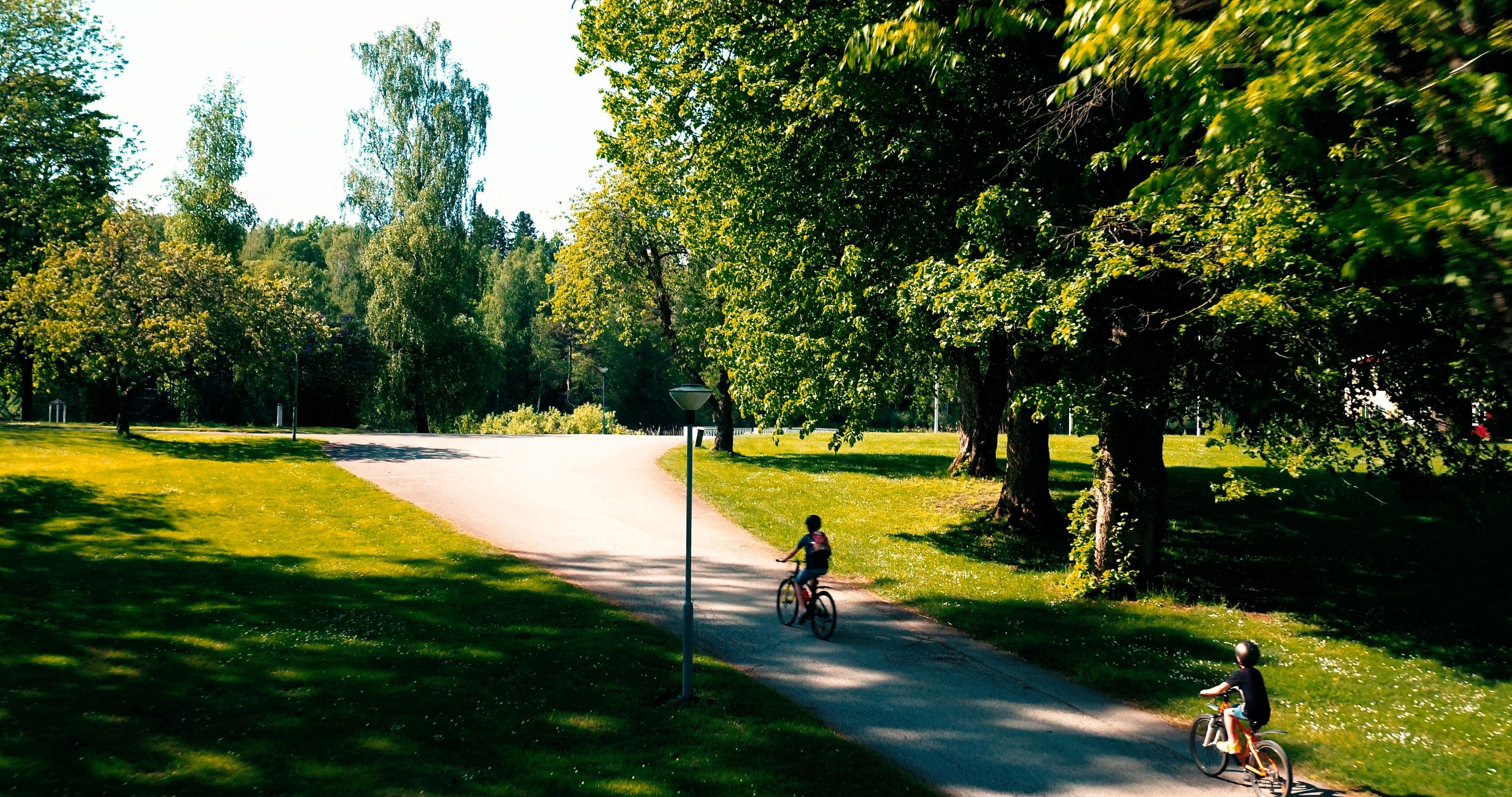 Een verhard pad in een park met bomen aan weerszijden, een lantaarnpaal en fietsers.