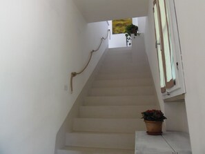 A staircase with a handrail, a potted plant, and a window with curtains.