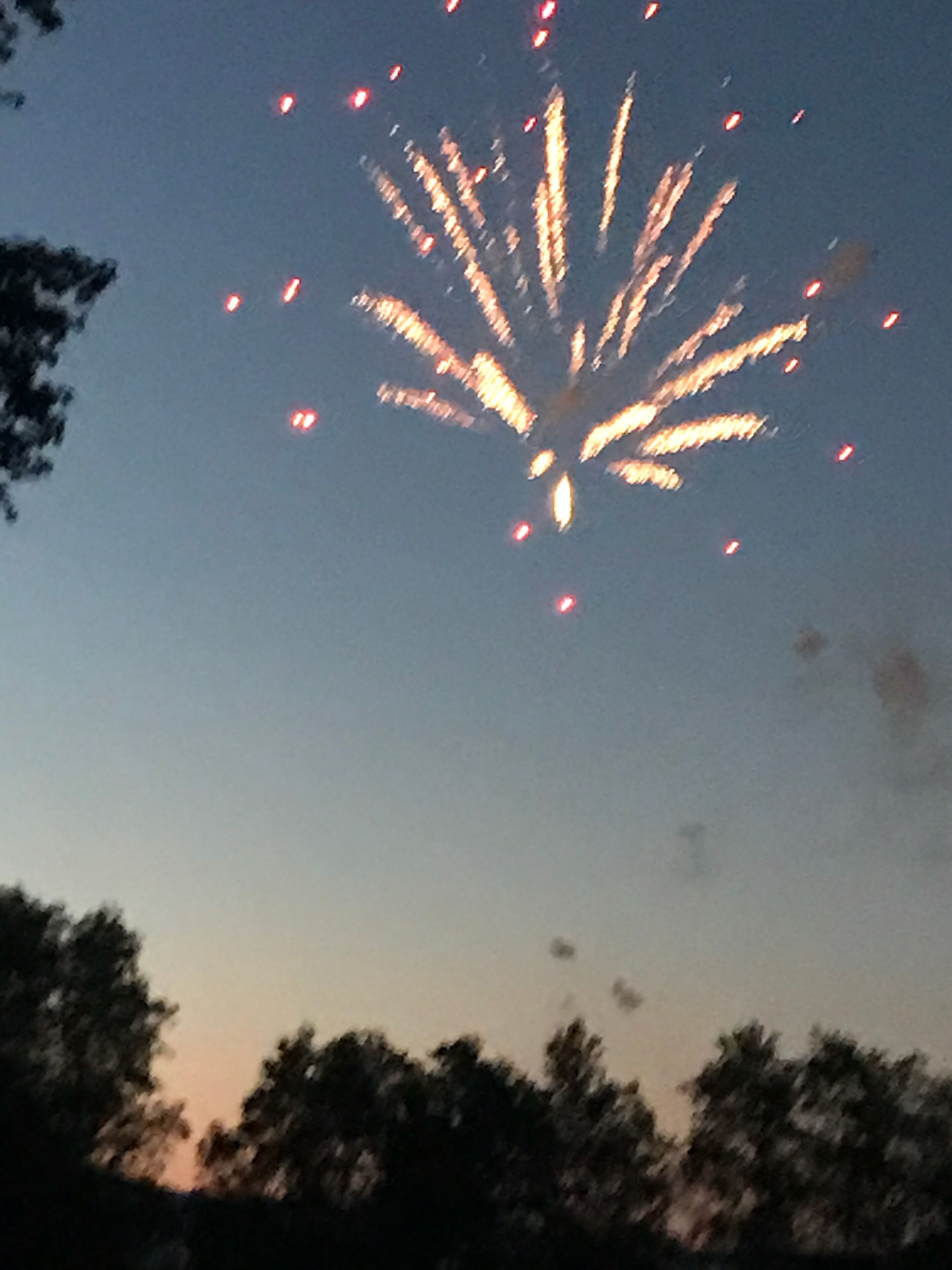 A night sky with fireworks.