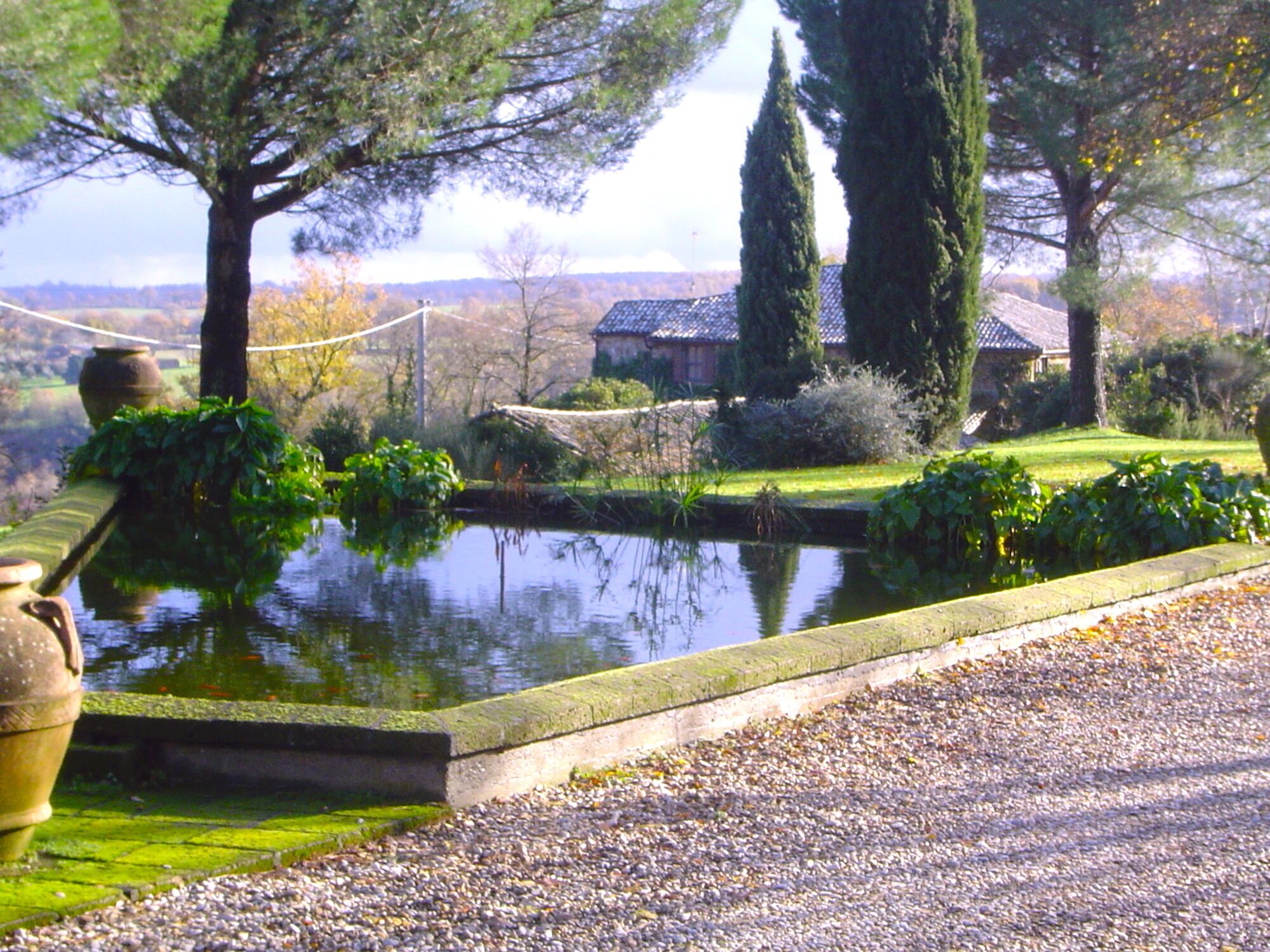 A serene garden with a pond, surrounded by mature trees and a stone pathway.