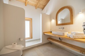 Habitació doble de luxe | Bany | Dutxa, assecador de cabells, sabatilles i tovalloles 
