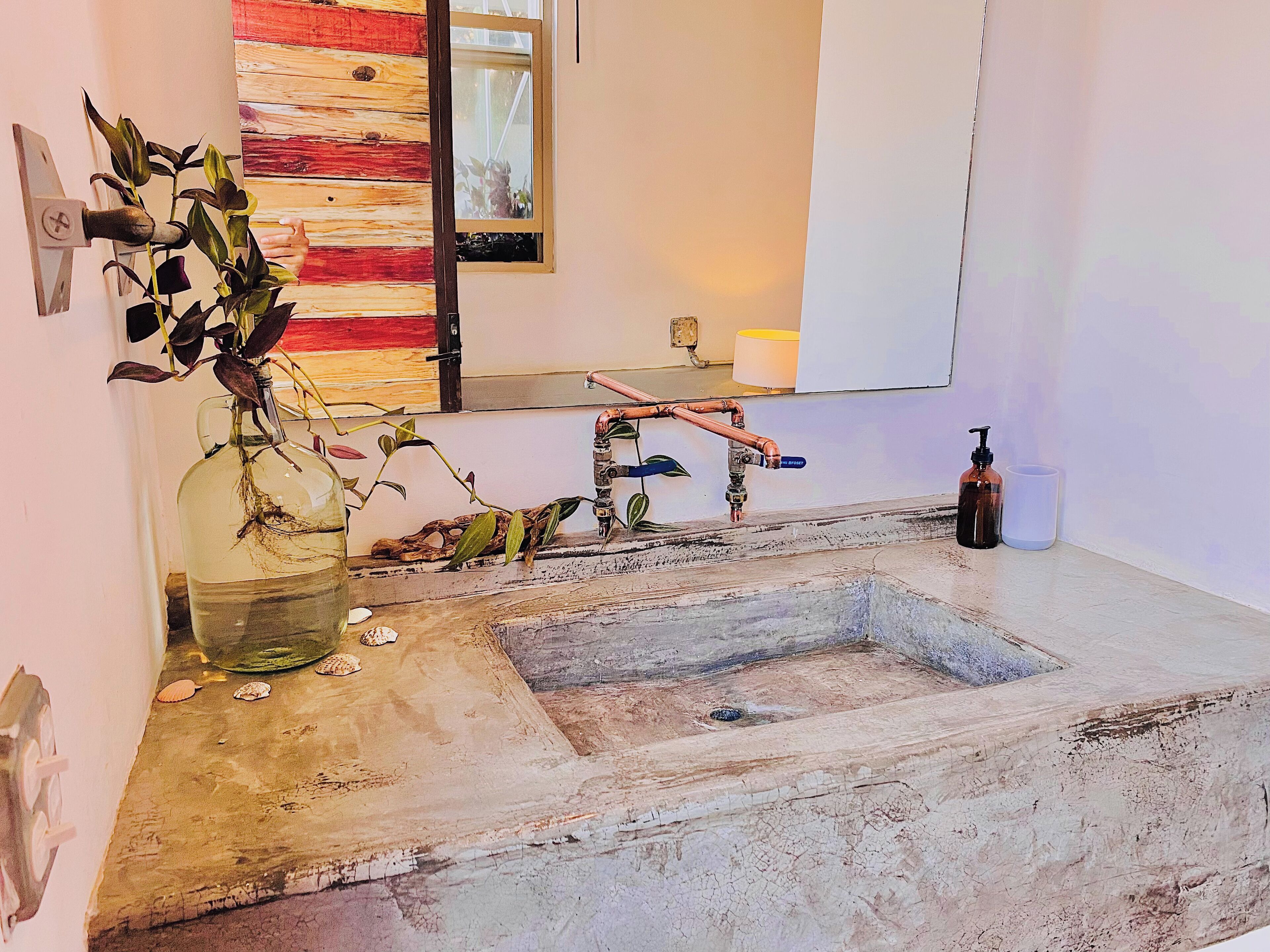 Foto - Perro Surfero Hotel Boutique - Todos Santos, BCS