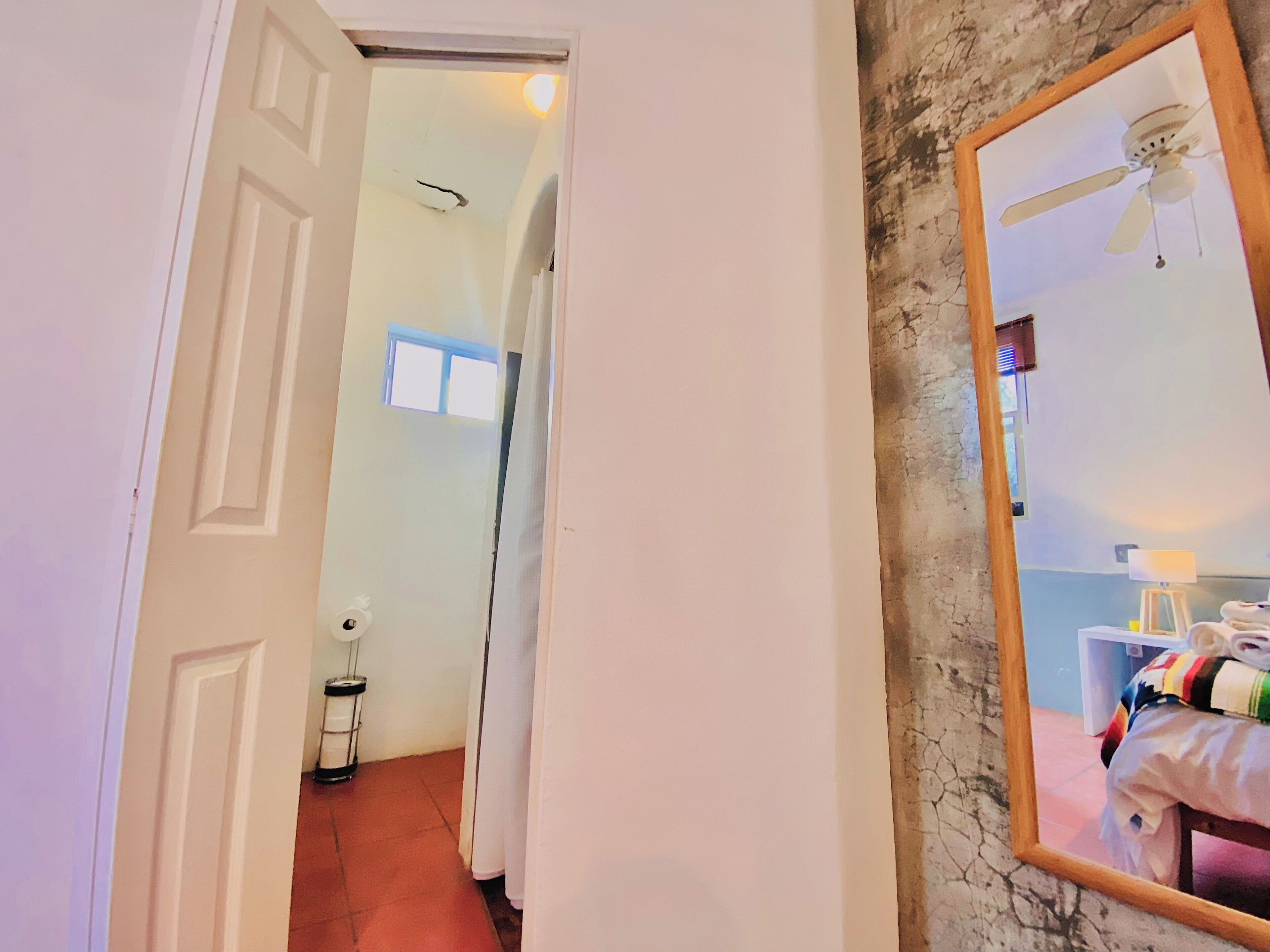 Foto - Perro Surfero Hotel Boutique - Todos Santos, BCS