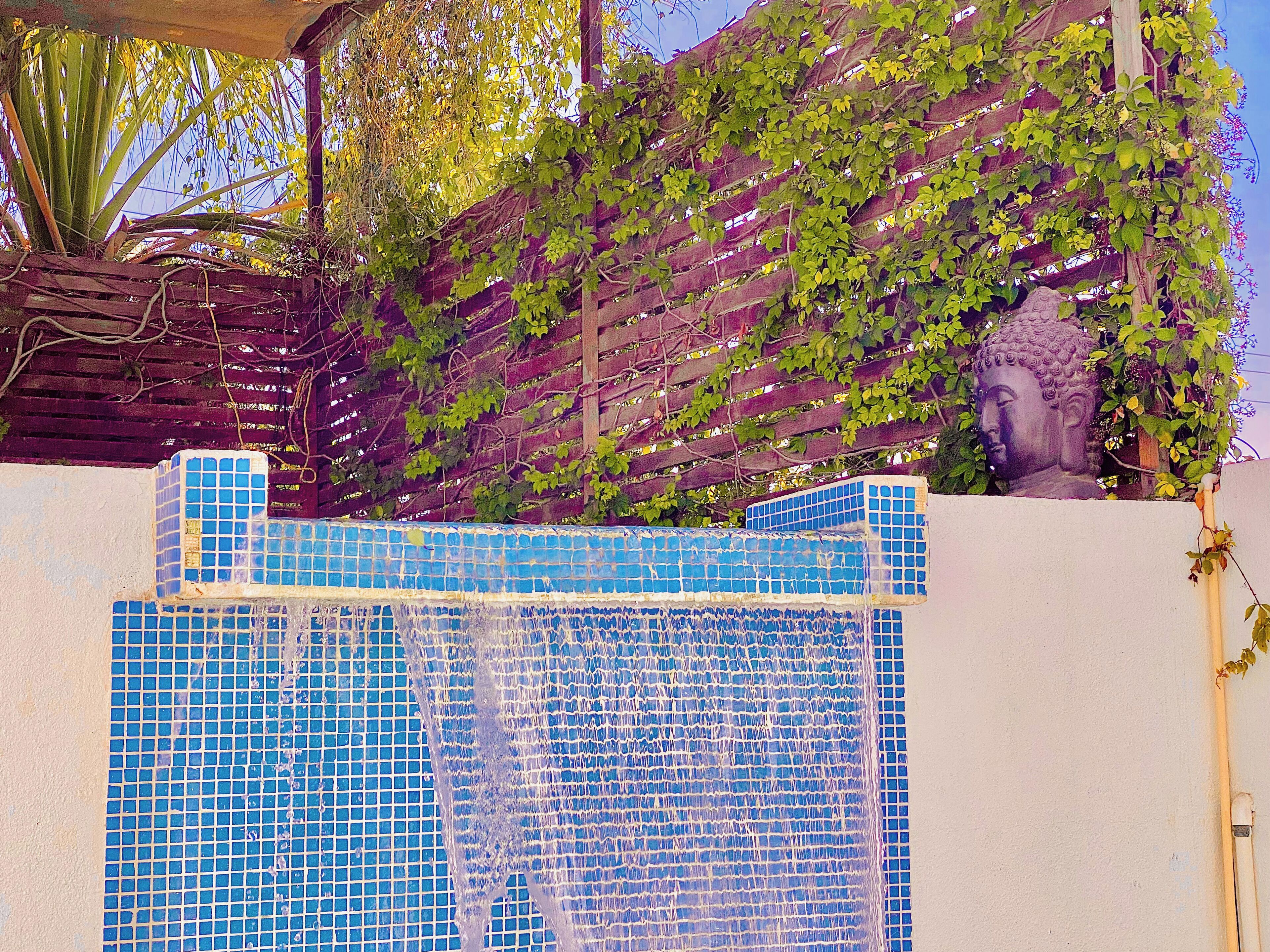Foto - Perro Surfero Hotel Boutique - Todos Santos, BCS
