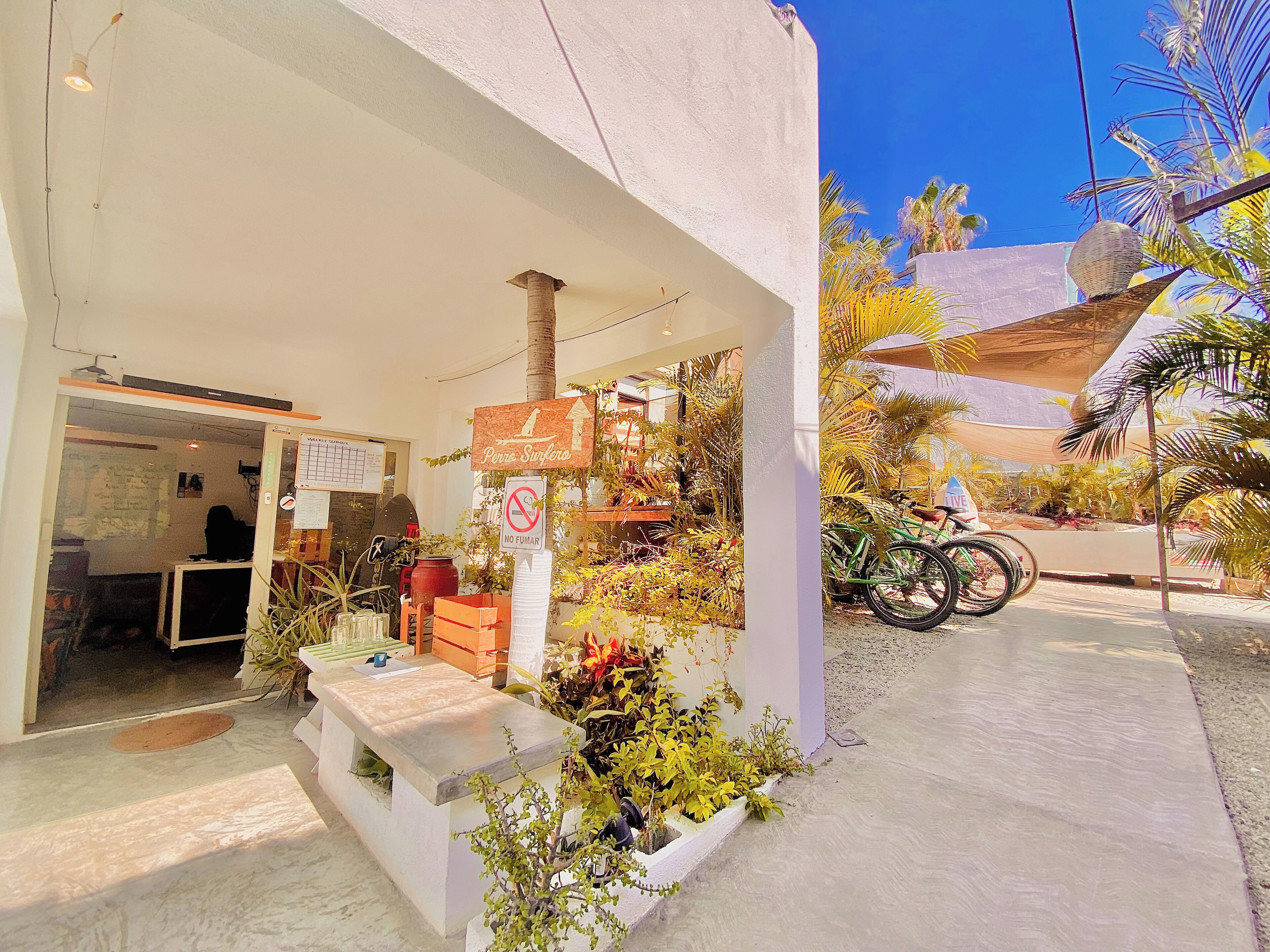 Foto - Perro Surfero Hotel Boutique - Todos Santos, BCS