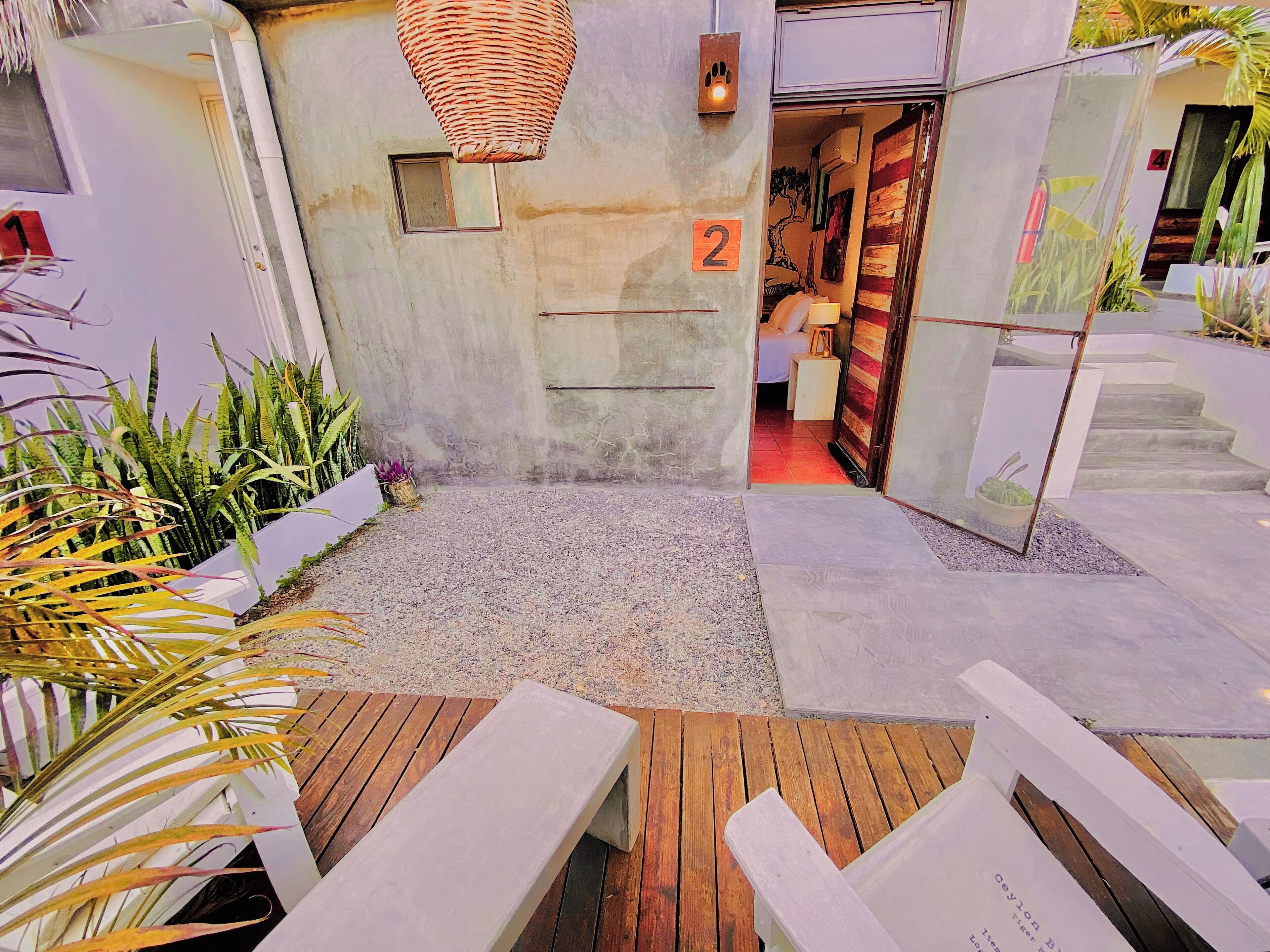 Foto - Perro Surfero Hotel Boutique - Todos Santos, BCS