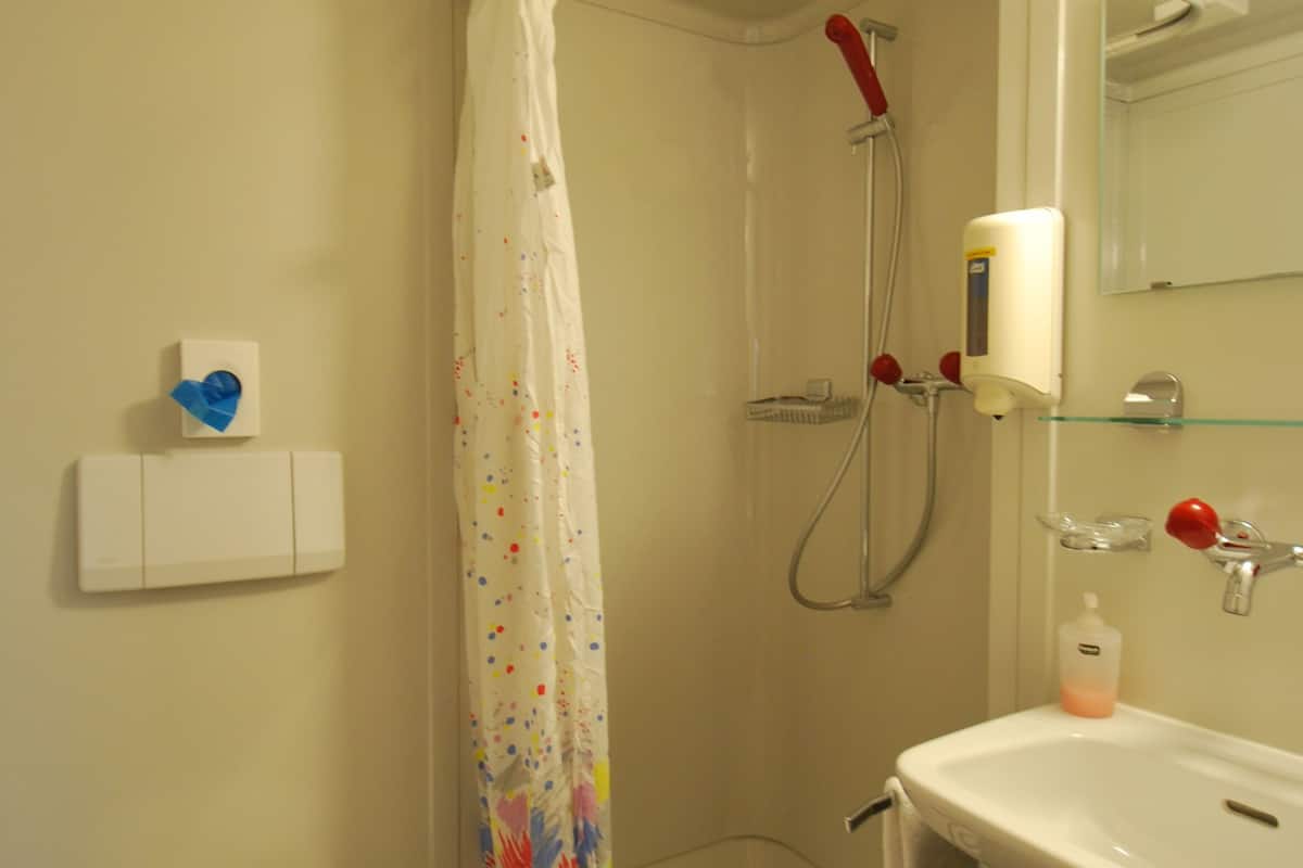 economy double or twin room | bathroom | shower, free toiletries, hair dryer, towels